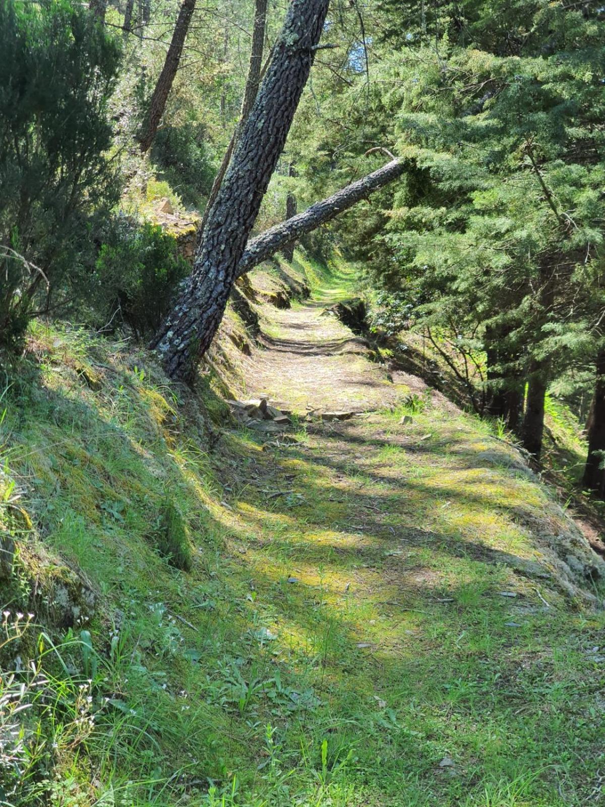 Quinta Dos Avos Lourenco Sertã Εξωτερικό φωτογραφία